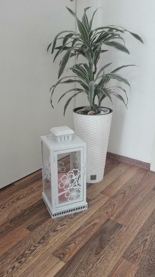 Apartman Sara Apartman Šibenik Kültér fotó