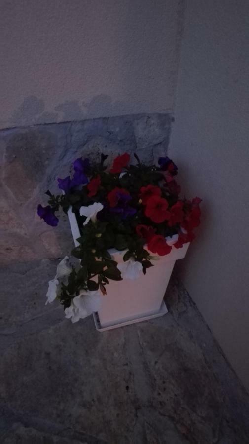 Apartman Sara Apartman Šibenik Kültér fotó